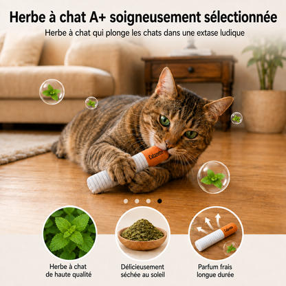 Cigarette pour Chat Catarette